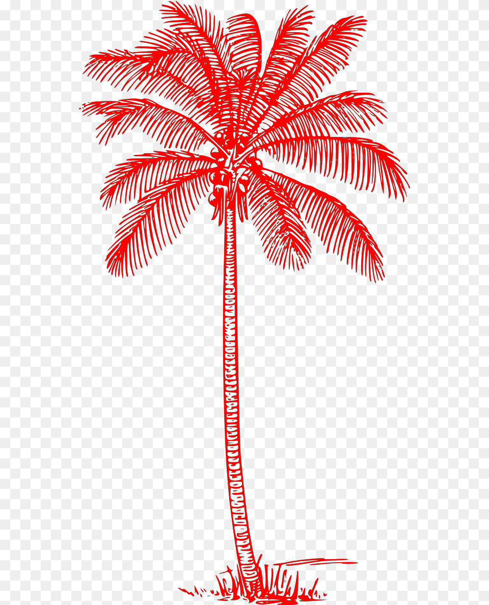 Vintage Palm Trees Art, Palm Tree, Plant, Tree, Fireworks Free Png