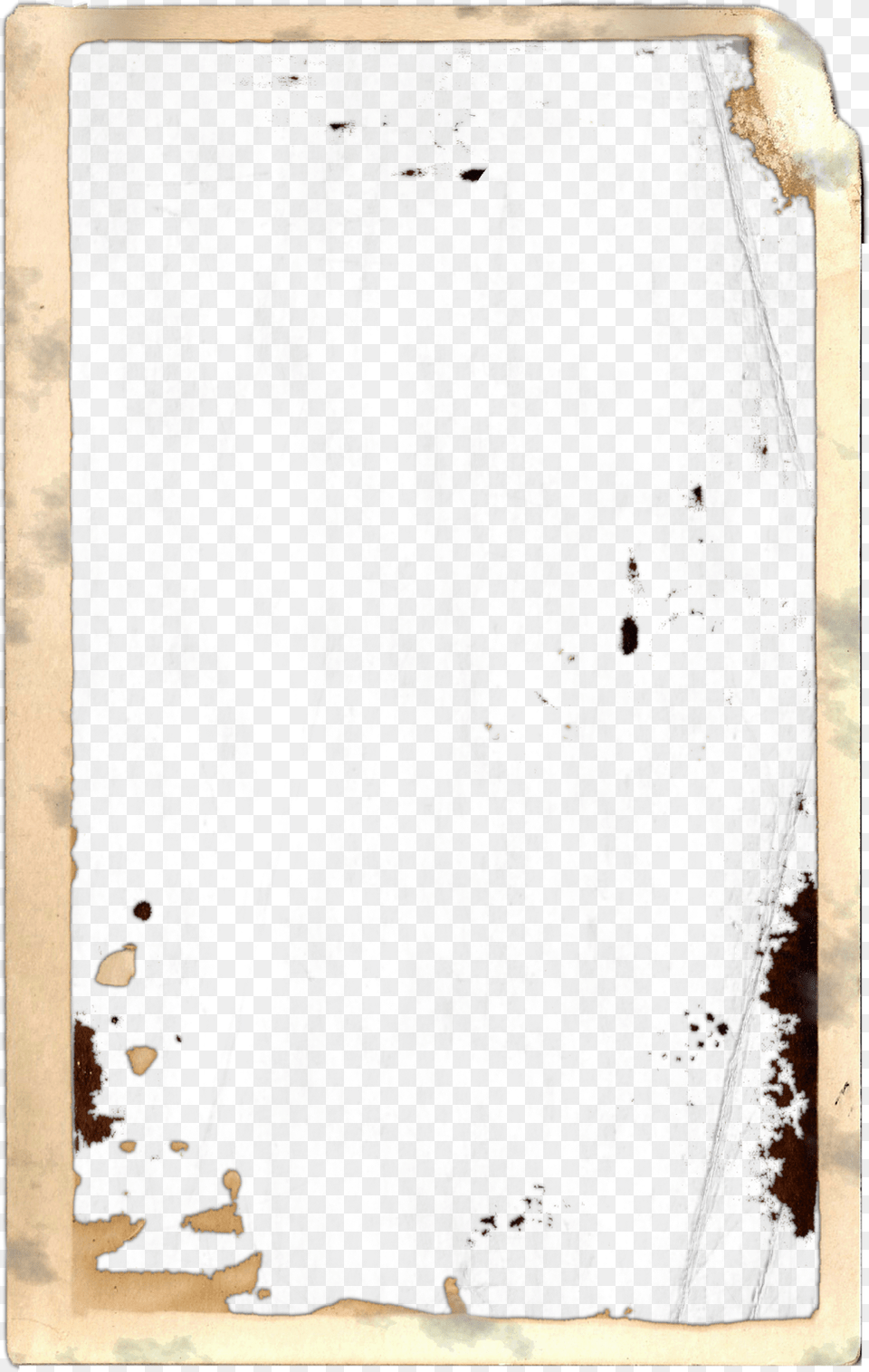 Vintage Photo Overlay For You Tumblr, Plant, Tree, Wood, Home Decor Free Png Download