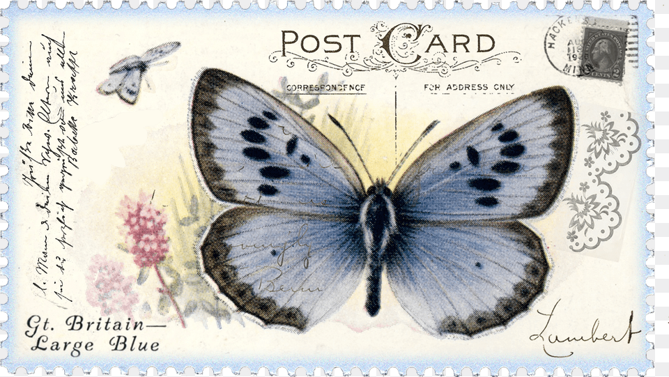 Vintage Postage Stamp, Postage Stamp, Animal, Insect, Invertebrate Png