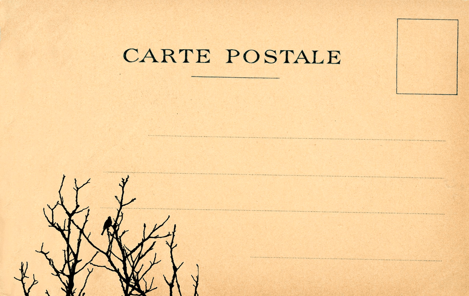 Vintage Postcard Clipart, Envelope, Mail, Animal, Bird Png Image