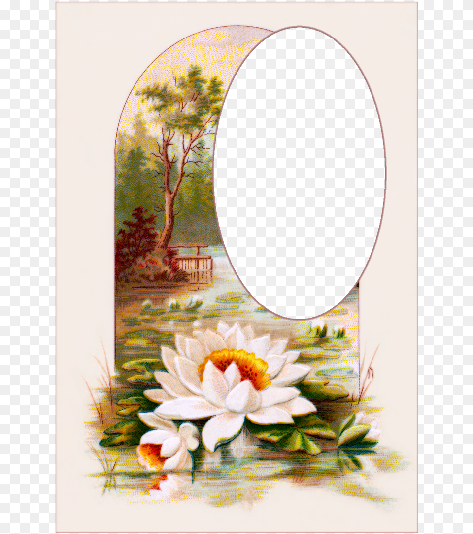 Vintage Postcards Flowers Picture, Art, Painting, Plant, Flower Free Png Download