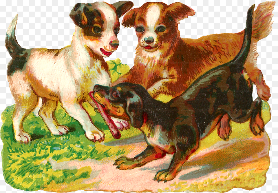 Vintage Puppy, Animal, Canine, Dog, Mammal Free Png