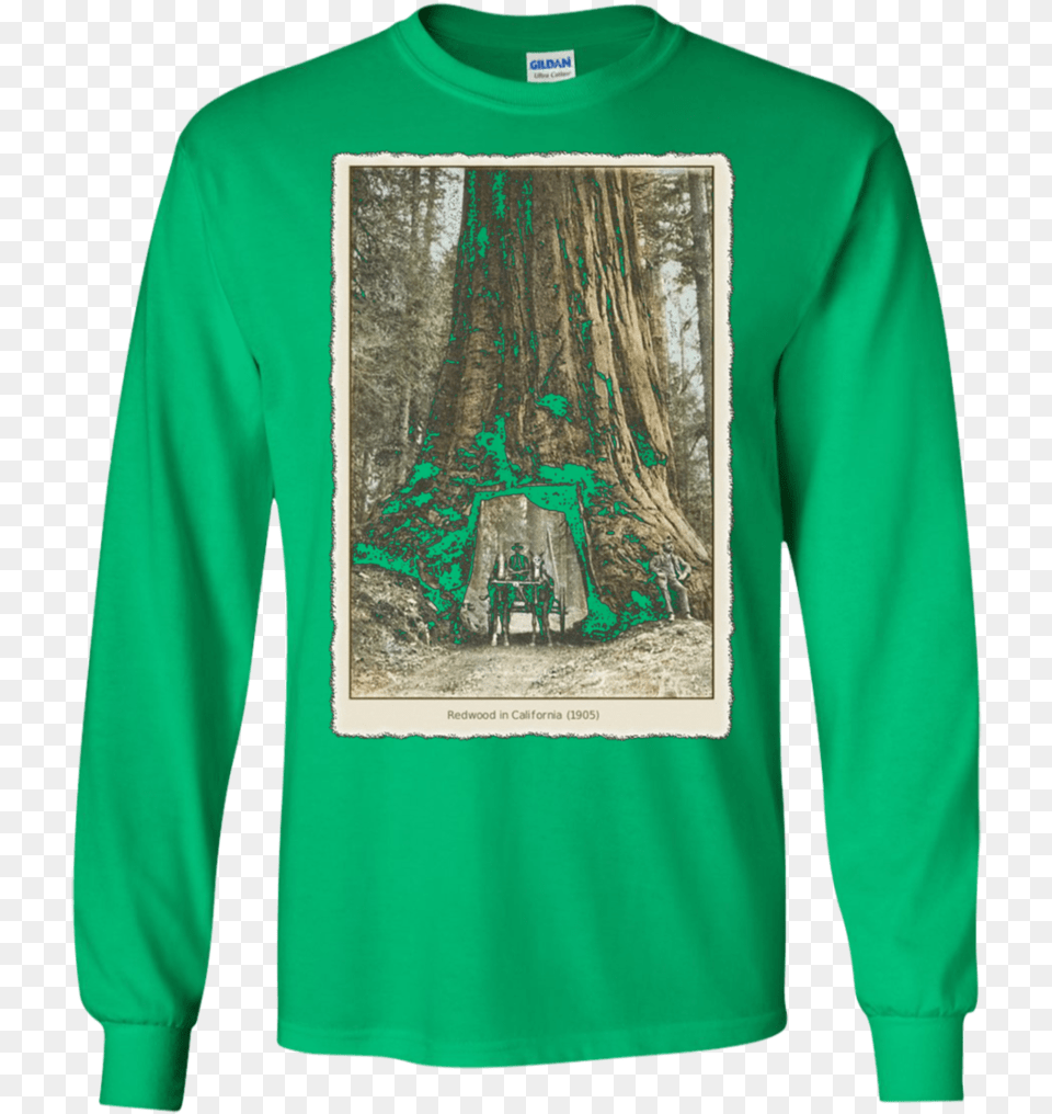 Vintage Redwood Forest Funky T Shirt, Clothing, Long Sleeve, Sleeve, Knitwear Png Image