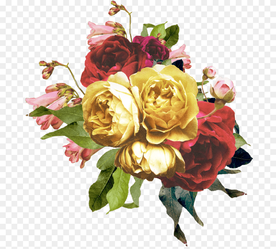 Vintage Rose Arrangement Old Vintage Rose, Flower, Flower Arrangement, Flower Bouquet, Plant Png Image