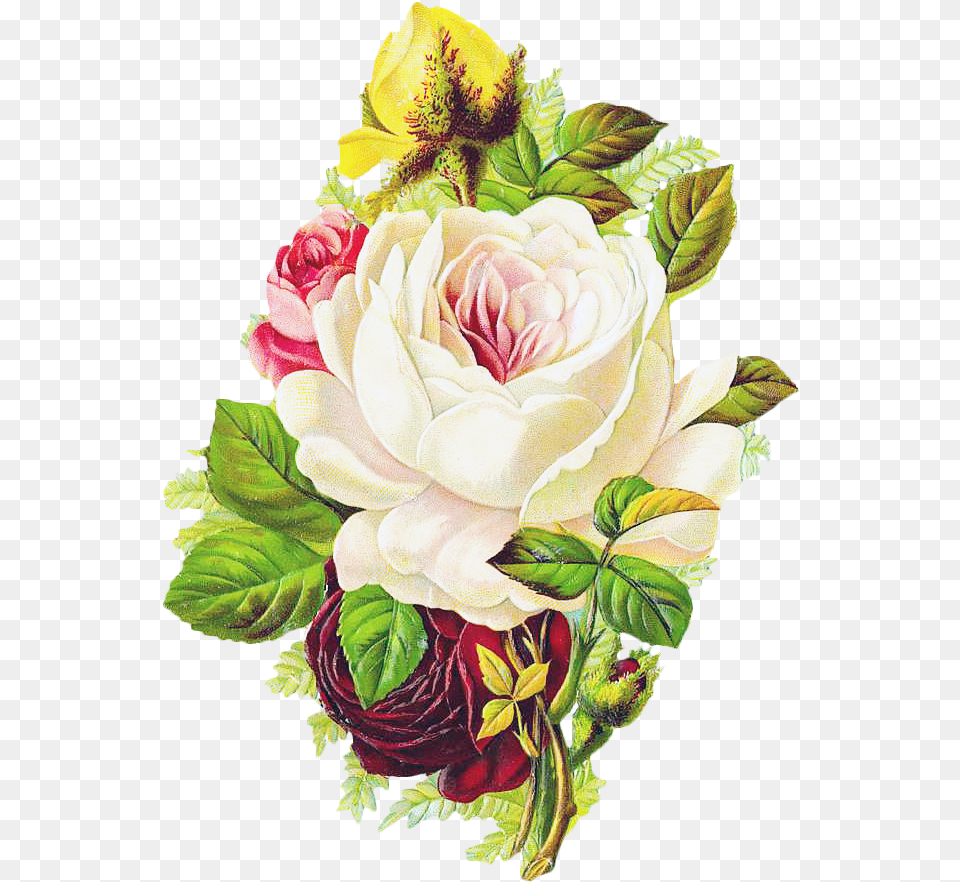 Vintage Rose Beautiful Vintage Floral Art Sticker Good Morning Paper Flowers, Plant, Pattern, Graphics, Flower Bouquet Png