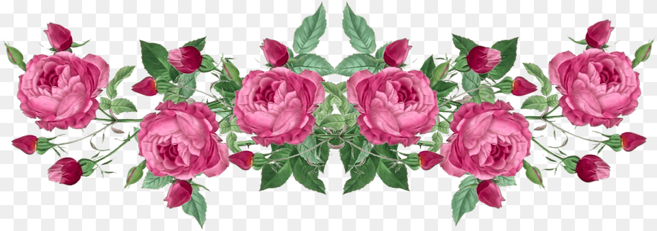 Vintage Rose Borders U2013 Scrapbooking Pink Flower Border Drawing, Plant, Pattern, Flower Arrangement, Flower Bouquet Png