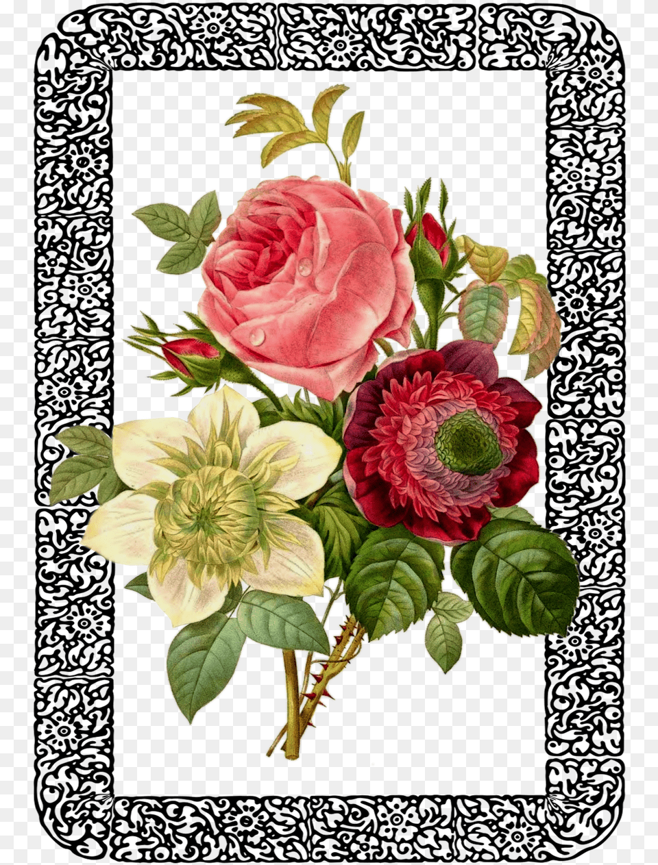 Vintage Rose Bouquet Framed Vintage Botanical Prints Peonies Art, Plant, Pattern, Graphics, Flower Bouquet Png Image