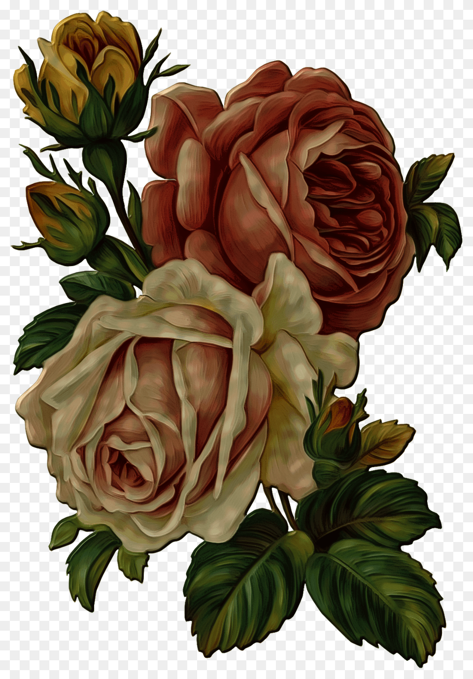 Vintage Rose Flower Vintage Flower, Art, Plant, Graphics, Floral Design Free Png