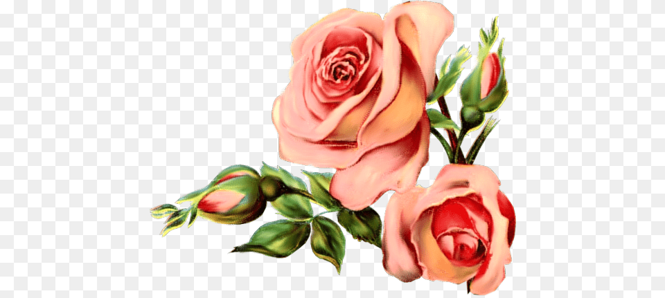 Vintage Rose March Bukieciki Vintage Clip, Flower, Flower Arrangement, Flower Bouquet, Plant Png