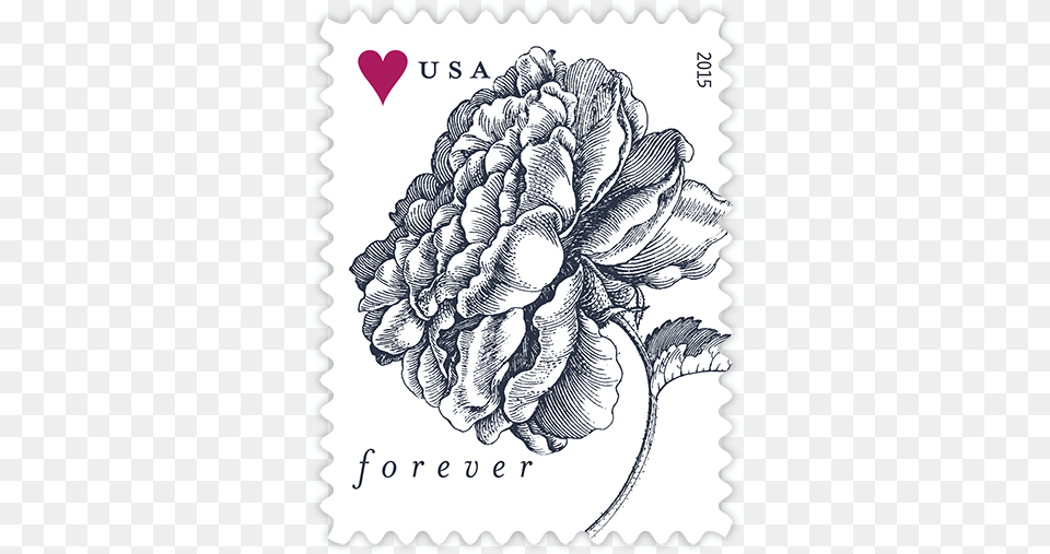 Vintage Rose Sheet Of 20 Usps Forever Stamps, Postage Stamp Free Png Download