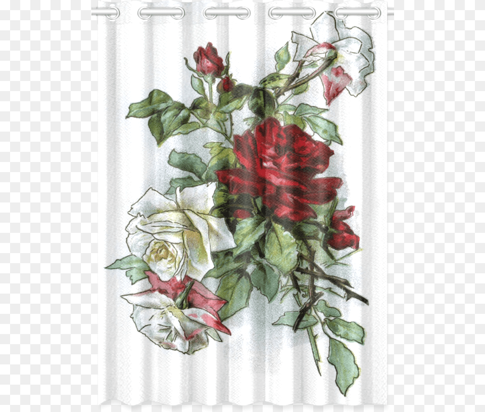 Vintage Roses Red White Floral New Window Curtain Garden Roses, Flower, Plant, Rose, Art Png Image