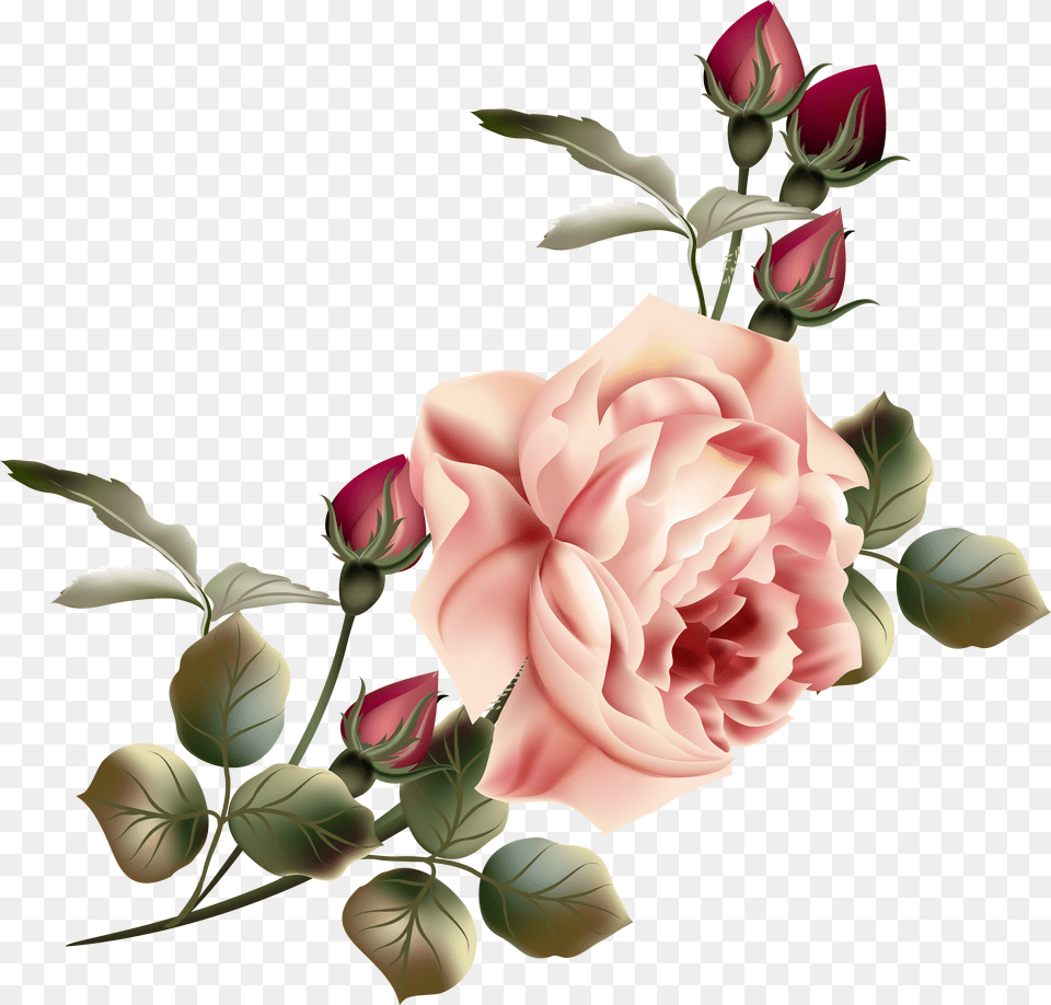 Vintage Roses Vintage Flower Png