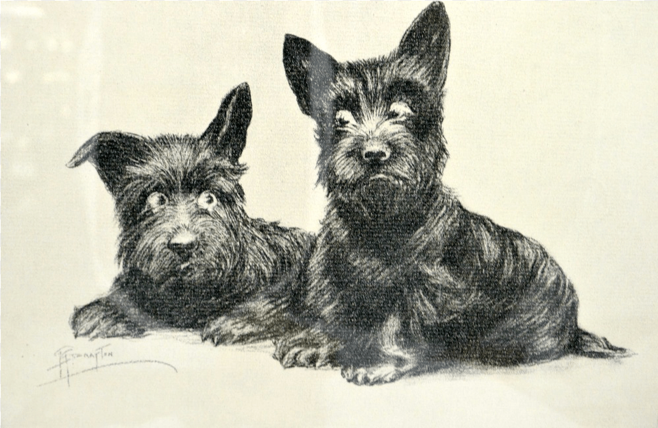 Vintage Signed Scottie Dogs Print Grace G Scottish Terrier, Art, Animal, Canine, Dog Png