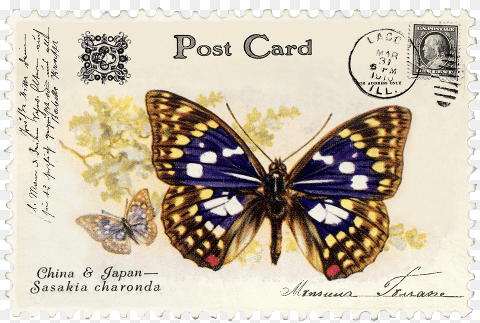 Vintage Stamps, Postage Stamp, Animal, Insect, Invertebrate Png