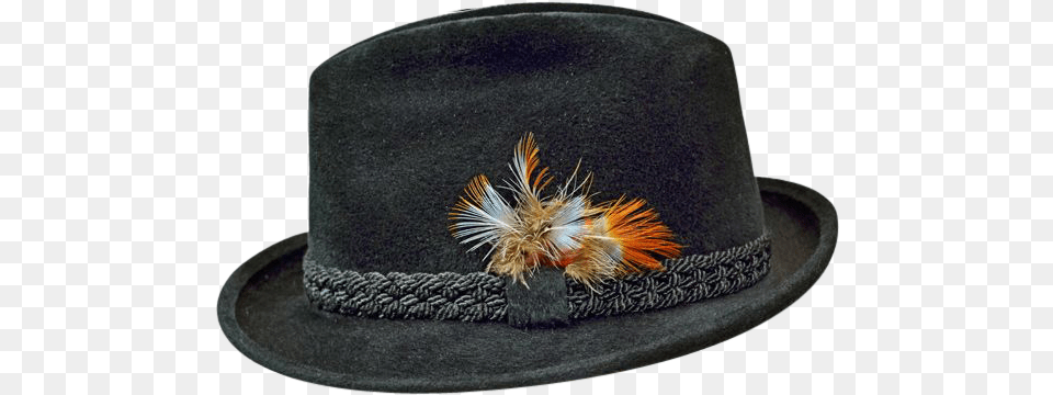 Vintage Stetson Black Beaver Black Fedora Fedora, Clothing, Hat, Sun Hat, Animal Free Transparent Png
