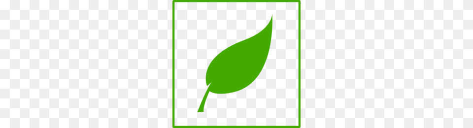 Vintage Tea Leaf Clipart, Plant, Sprout, Green, Flower Png