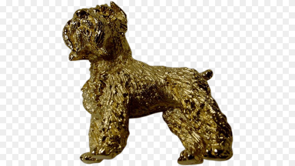 Vintage Trifari Golden Schnauzer Dog Pin Measures 1 Brooch, Bronze, Figurine, Animal, Lizard Free Transparent Png