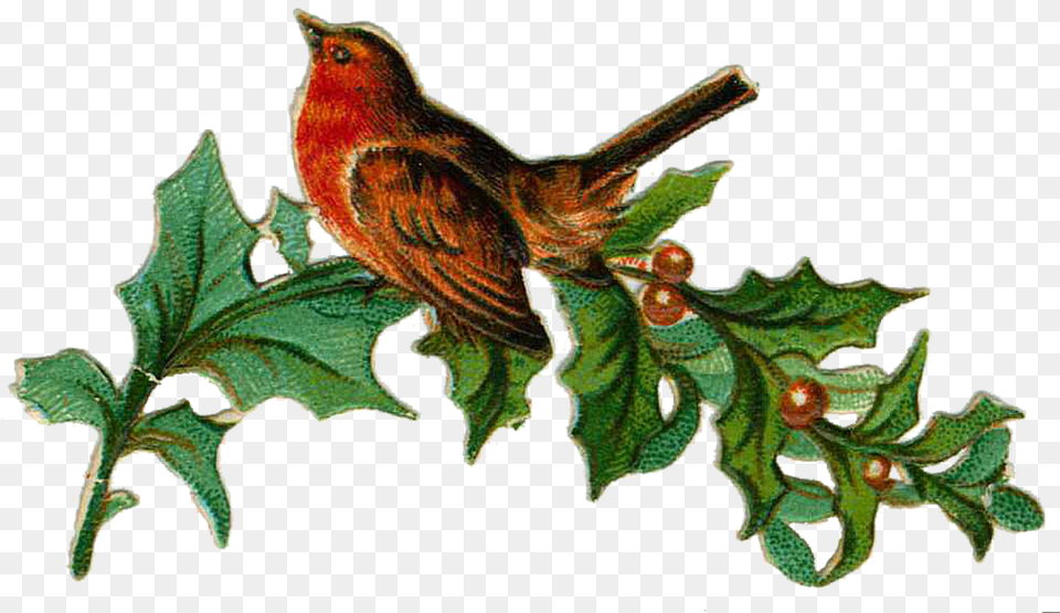 Vintage Victorian Christmas Die Cuts Day Two Transparent Background Victorian Christmas, Animal, Bird, Finch, Leaf Png Image