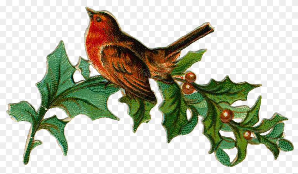 Vintage Victorian Die Cut Clip Art Vintage Illustrations, Animal, Bird, Finch, Leaf Free Png Download