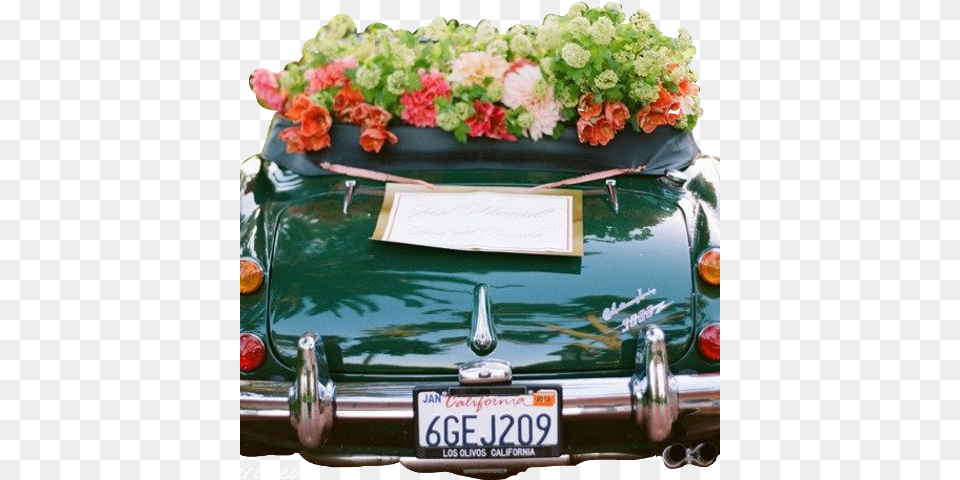 Vintage Wedding Car Decoration, License Plate, Transportation, Vehicle, Flower Free Png Download