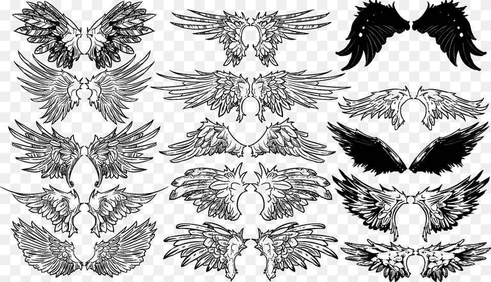 Vintage Wings Vector Set Wings Up Reference, Art, Animal, Bird, Drawing Free Png Download