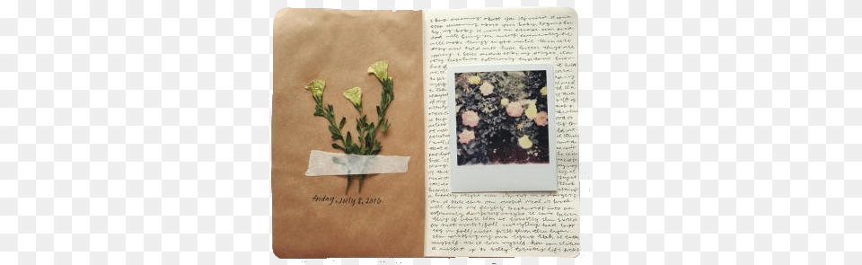 Vintageaesthetic Journal Flower Polyvore Vintage Art Journals, Text, Potted Plant, Plant, Petal Free Png