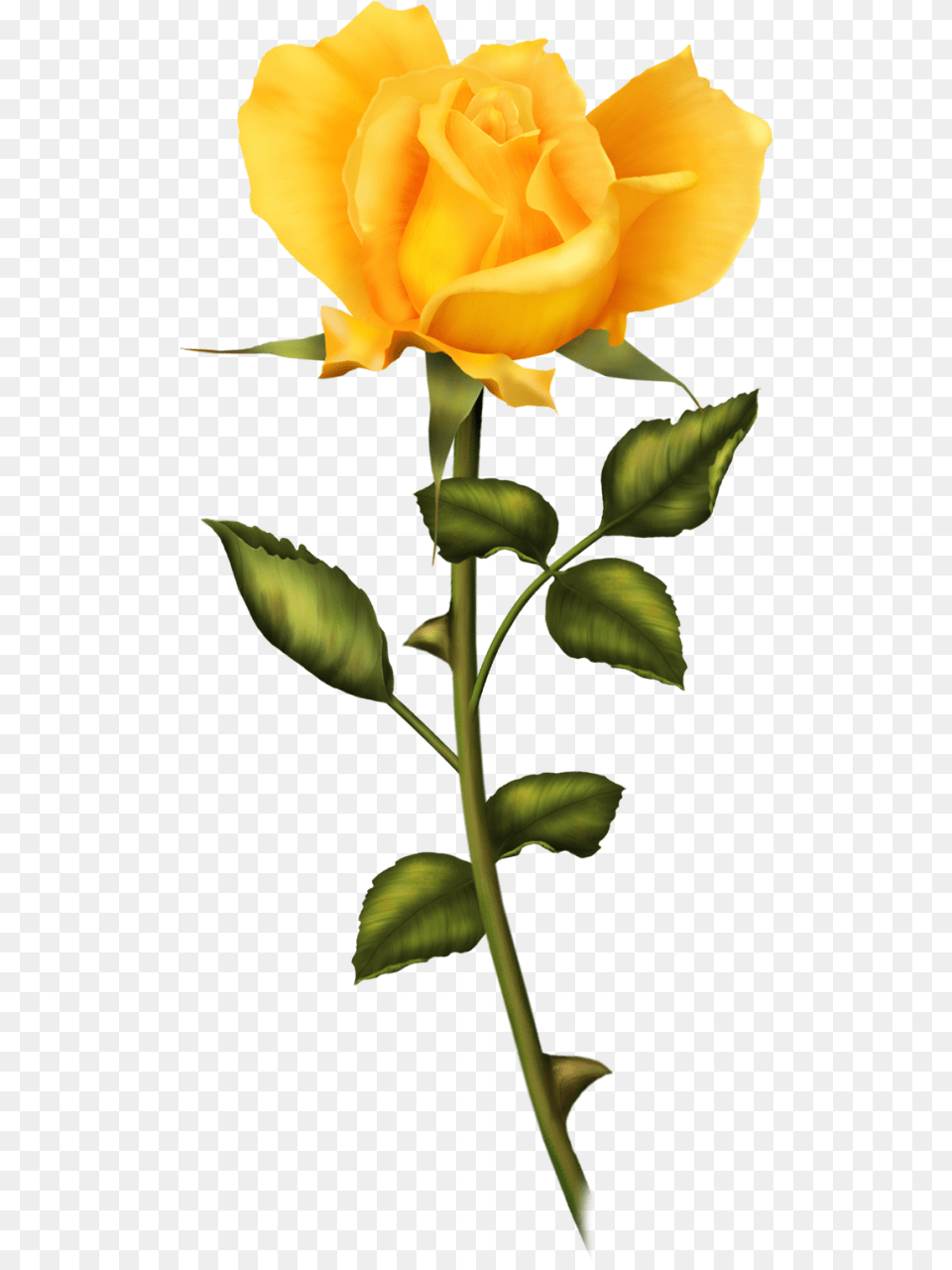 Vintageantiguasretro Y Por El Estilo Decoupage, Flower, Plant, Rose Free Transparent Png