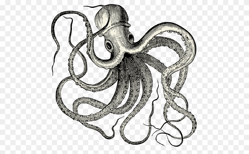 Vintate Octopus Tattoo, Animal, Sea Life, Smoke Pipe, Invertebrate Free Transparent Png