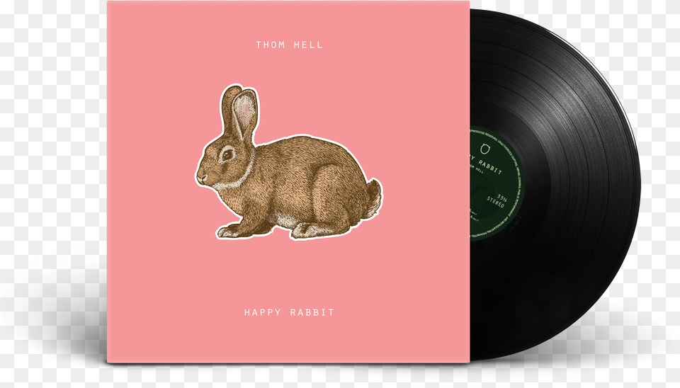 Vinyl, Animal, Hare, Mammal, Rodent Free Png