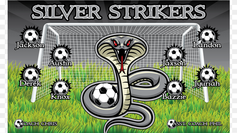 Vinyl Banner Silver Strikers Decoration Vinyl Sticker Cobra Snake Reptile Decoration, Animal, Ball, Sport, Football Png Image