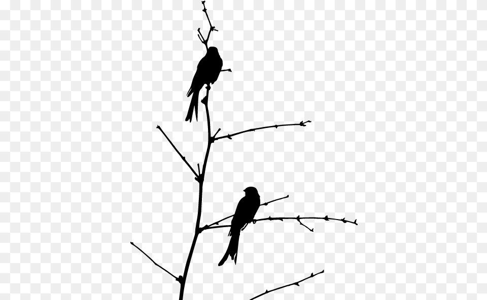 Vinyl Decorative Birds On Branch, Gray Png Image