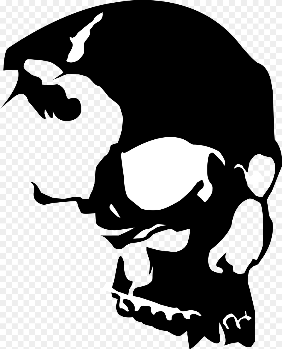 Vinyl Record Skull Art Skull Vector, Stencil, Baby, Person Free Transparent Png