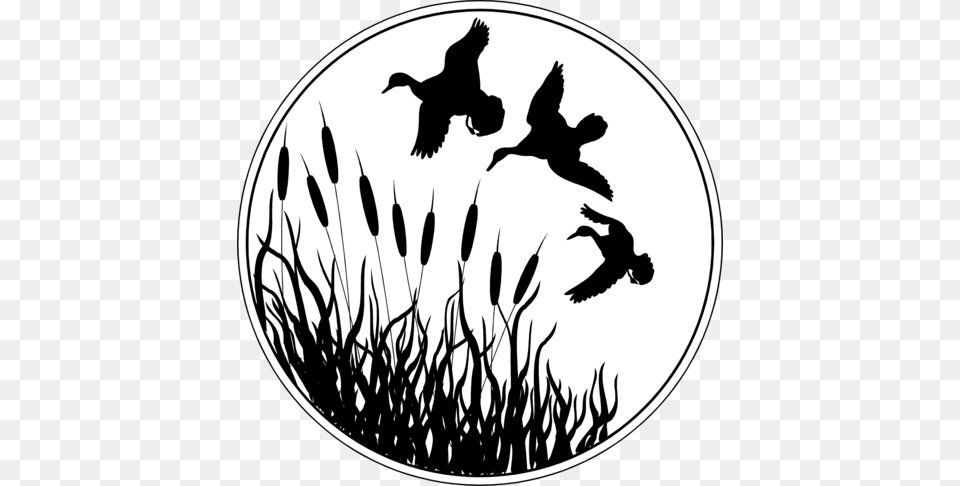 Vinyl Silhouette Duck, Animal, Bird, Flying, Blackbird Png