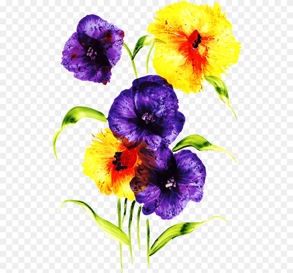 Viola, Flower, Plant, Geranium Png