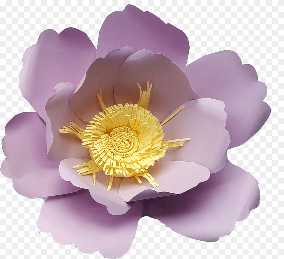 Violet 1 Artificial Flower, Anemone, Anther, Petal, Plant Free Png Download