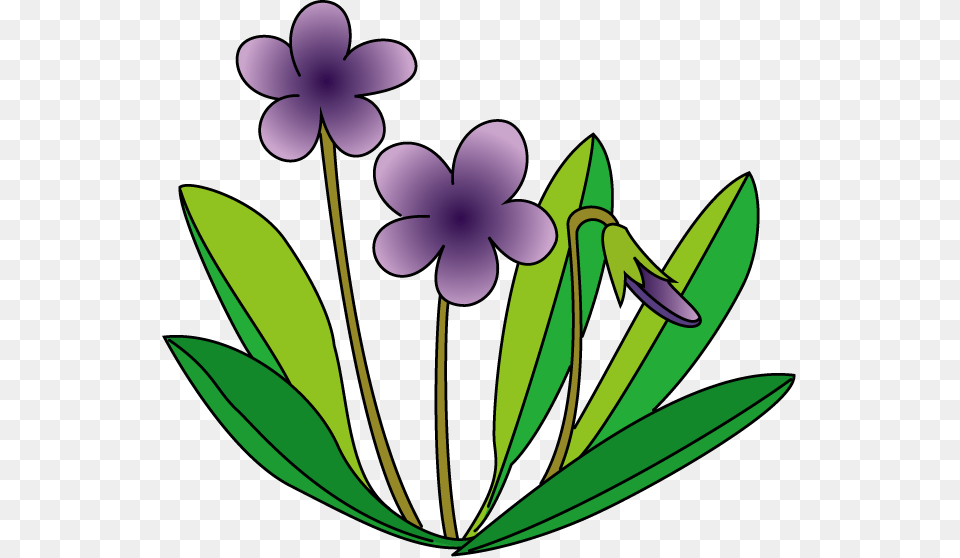 Violet Clip Art, Flower, Geranium, Plant, Animal Free Png