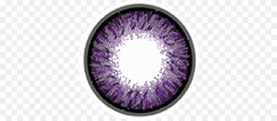 Violet Contact Lenses, Purple, Flower, Plant, Lavender Free Transparent Png