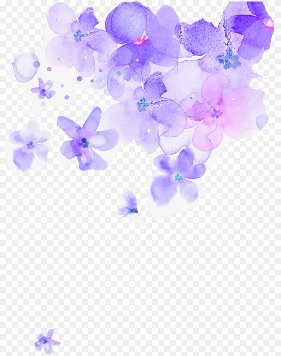 Violet Flower, Plant, Purple, Petal, Person Free Png