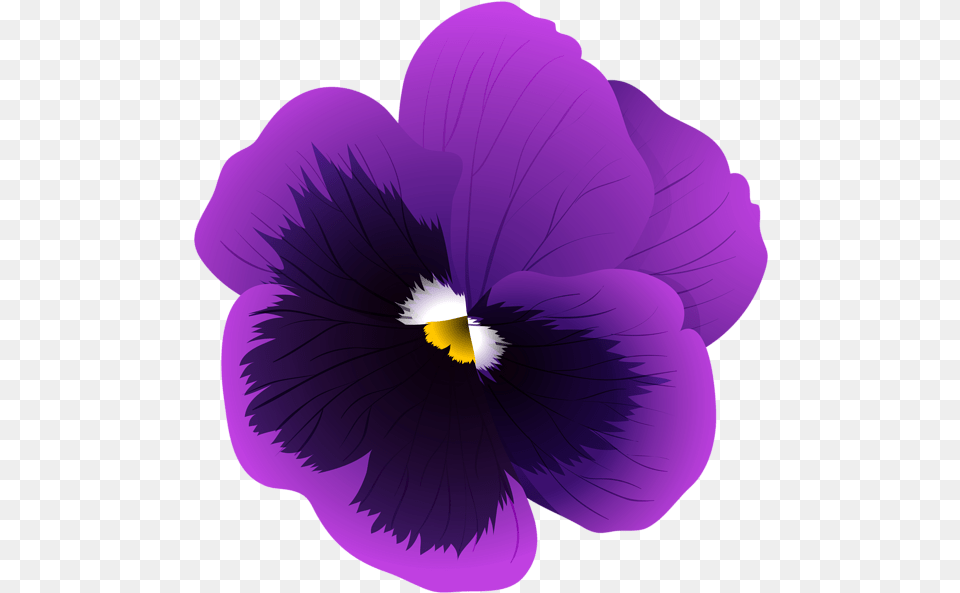 Violet Flower Background, Plant, Purple, Pansy, Person Free Transparent Png