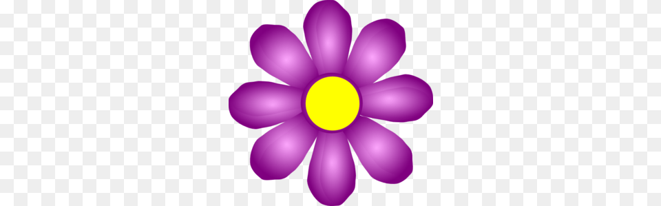 Violet Flower Clip Art, Anemone, Plant, Petal, Purple Png Image