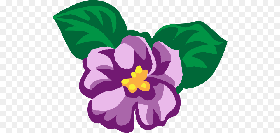Violet Flower Clip Art, Plant, Purple, Hibiscus, Anemone Png Image