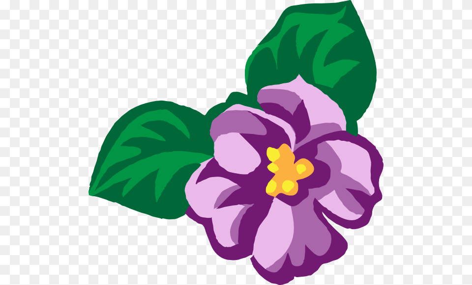 Violet Flower Clipart, Plant, Dahlia, Anemone, Purple Free Png Download