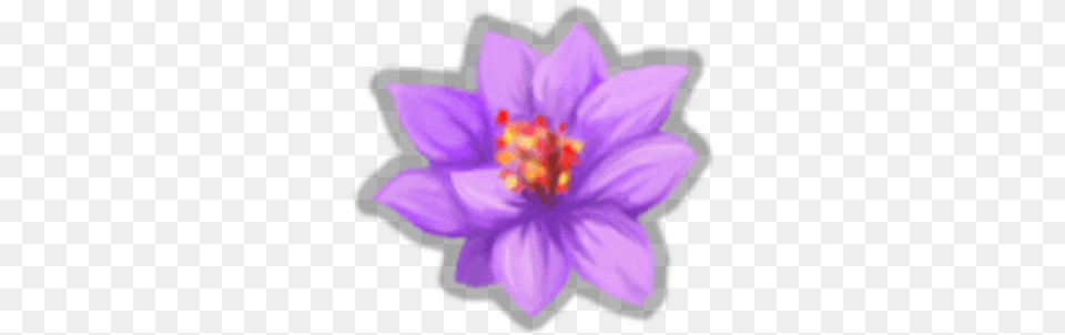 Violet Lotus Saffron Crocus, Anther, Flower, Plant, Petal Free Png