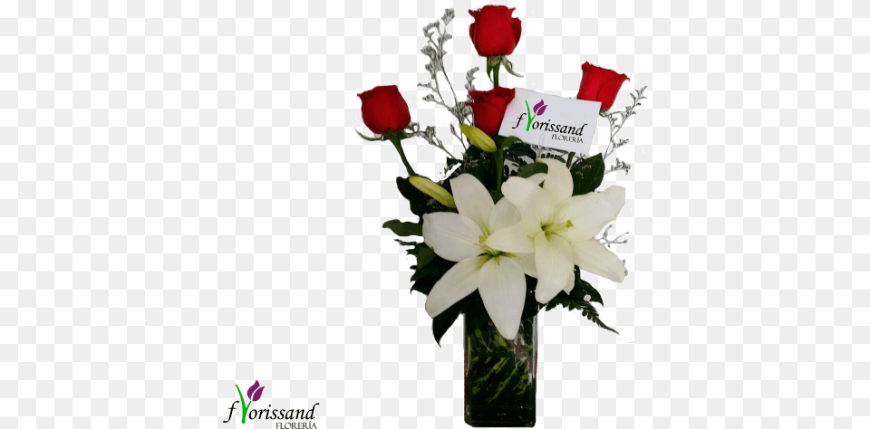 Violetero Lily, Rose, Plant, Flower, Flower Arrangement Free Png