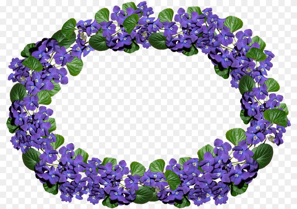 Violets Arrangement Frame Border Violet, Flower, Plant, Purple, Geranium Free Transparent Png