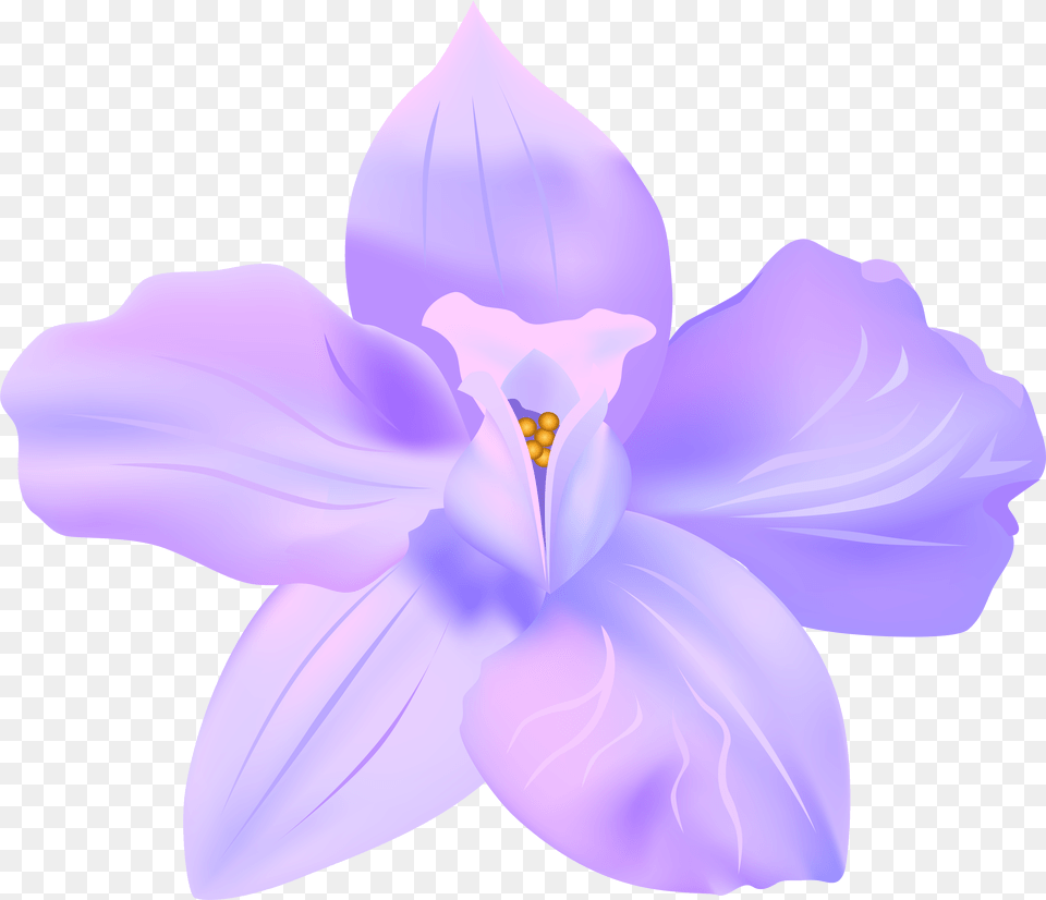 Violets Clip Art, Flower, Plant, Petal, Orchid Png Image