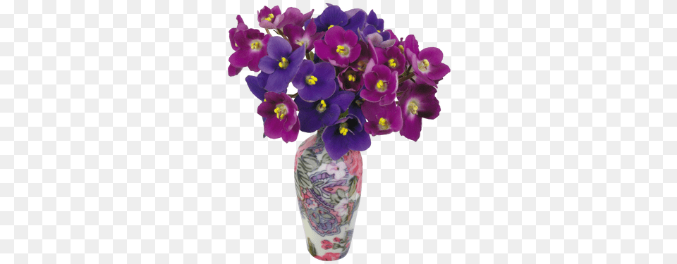 Violets Images Flowerpot, Flower, Flower Arrangement, Flower Bouquet, Jar Free Png Download
