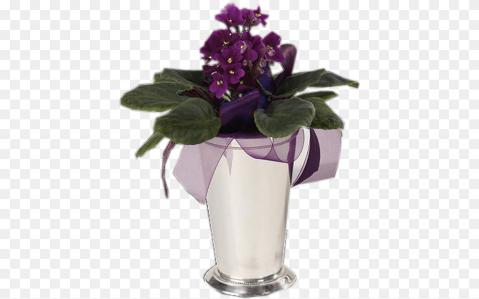 Violets In Silver Vase Violets In A Vase, Flower, Pottery, Potted Plant, Plant Png