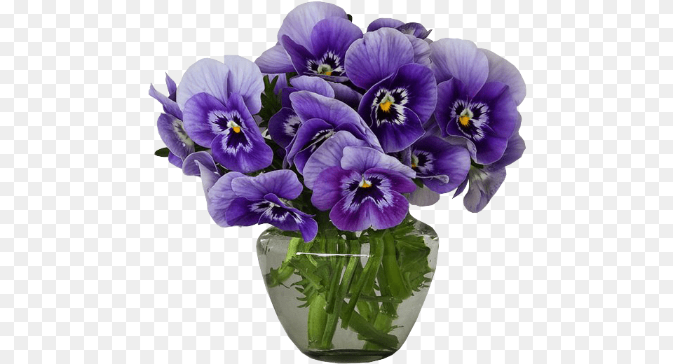 Violets Vase Bouquet Clipart Violets In A Vase, Flower, Plant, Potted Plant, Flower Arrangement Free Transparent Png