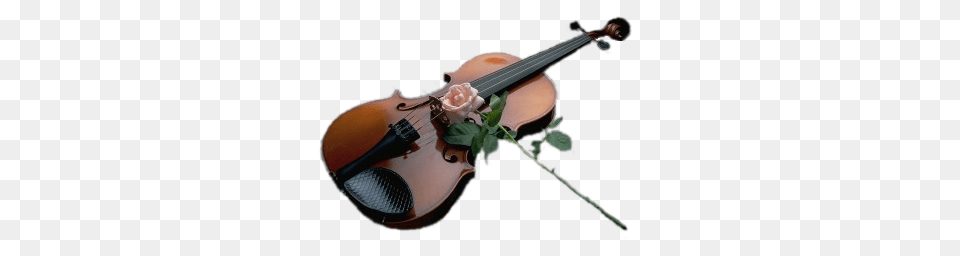 Violin, Musical Instrument, Guitar Free Png Download